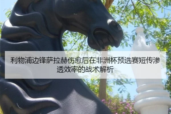 li-wu-pu-bian-feng-sa-la-he-shang-yu-hou-zai-fei-zhou-bei-yu-xuan-sai-duan-chuan-shen-tou-xiao-lv-de-zhan-shu-jie-xi-2-245.jpg